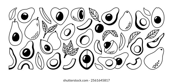 Cute collection of avocado doodle. Hand drawn whole and halves avocado, leaves, seed fruit illustration