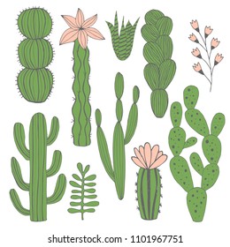 Cute collection of cartoon cactus. Vector, isolated.