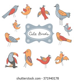 Cute collection of funny birds