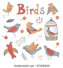 Cute collection of funny birds
