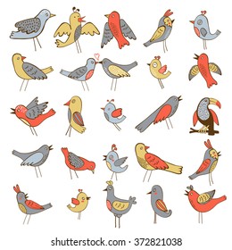 Cute collection of funny birds