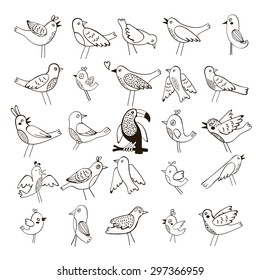 Cute collection of funny birds. vector illustration