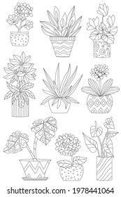 cute collection of houseplants in decorative flowerpots for your coloring pages