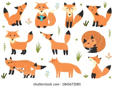 Cute collection of little foxes. Set with forest characters.  Isolated baby animal elements. Clipart great for stickers, children prints, greeting cards. Vector illustration