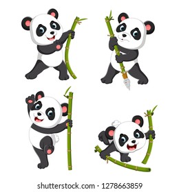 the cute collection of panda playing with the green bamboo