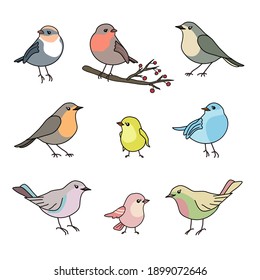 Cute collection set of nine various hand drawn colorful birds, black outline, pastel colors, isolated on white background. EPS 10 vector illustration