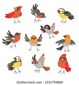 Cute collection set of ten funny birds in winter colors