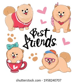 Cute collection of Spitz dogs patches and the inscription BEST FRIENDS. Vector illustration for t-shirt design, nursery decorations