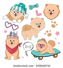 Cute collection of Spitz dogs stickers. Vector illustration for t-shirt design, nursery decorations. Funny cartoon animals