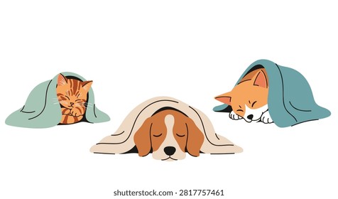 Cute collection of two striped kittens and a beagle dog sleeping peacefully tucked under warm cozy blankets in a cozy home setting.