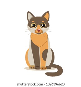 Cute Color Cartoon Cat Sitting In Front. Isolated On White Background. Sitting Cute Cat Flat Vector Illustration. Funny Character Mascot.