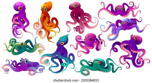 Cute color octopuses, sea animals with tentacles. Vector cartoon set of ocean invertebrates, marine animals, squid or kraken with suckers on hands. Funny octopuses isolated on white background