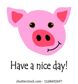 Cute color vector pig sketch for banner or postcard