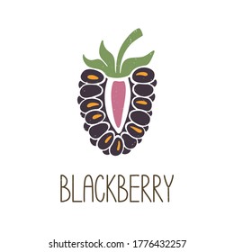 Cute colored caption half blackberry isolated on transparent background. Colorful pictogram original design. Can be used for infographics, identity or decoration. Vector shabby hand drawn illustration
