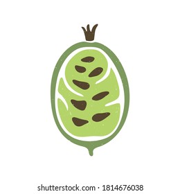 Cute colored half gooseberry isolated on transparent background. Colorful pictogram original design. Can be used for infographics, identity or decoration. Vector shabby hand drawn illustration
