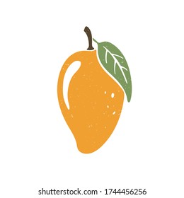 Cute colored mango isolated on transparent background. Colorful pictogram original design. Can be used for infographics, identity or decoration. Vector shabby hand drawn illustration