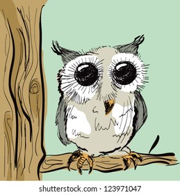 Cute Colored Owl