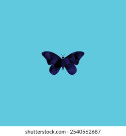 A cute colorful and beautiful butterfly design

