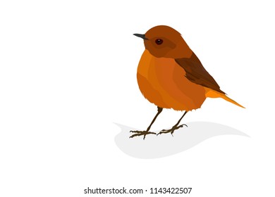 Cute colorful bird. Orange feathers. Vector image. White background.