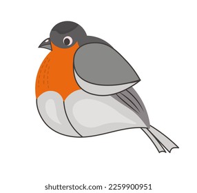 Cute colorful bullfinch. Winter bird. Vector isolated illustration of drawings on a white background. Flat style. For the design of banners, postcards, posters, web pages.