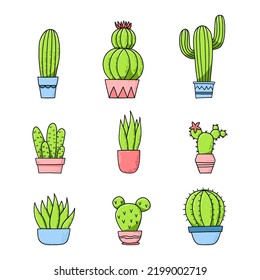 Cute colorful cactus or succulent plants in flowerpots vector illustration set. Cacti for design isolated on white background.