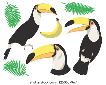 Cute colorful cartoon tropical Toco Toucan bird with pam leaves graphic vector illustration art set