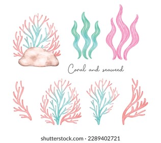 Cute colorful coral reef and seaweed pastel watercolor collection, cartoon children hand painting illustration