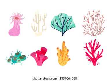 Cute and colorful corals set on white background vector illustation hand draw desing