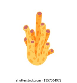 Cute and colorful corals set on white background vector illustation hand draw desing