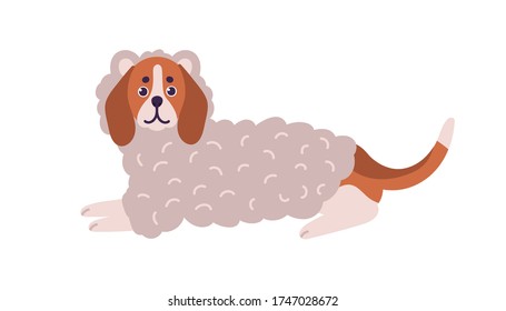 Cute colorful dog beagle breed wearing funny woolen sheep costume vector flat illustration. Adorable domestic animal lying dressed in warm apparel isolated on white. Pet with big ears in garment