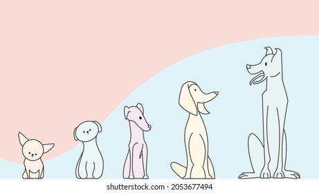 Cute Colorful Dog Breeds By Height Hand Drawn Illustration Chihuahua Shi Tzu Mutt Saluki Great Dane