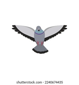 Cute colorful dove flying on white background. Pigeon cartoon illustration. Animal, flying creature, bird concept