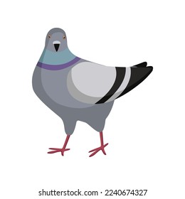 Cute colorful dove looking on white background. Pigeon cartoon illustration. Animal, flying creature, bird concept