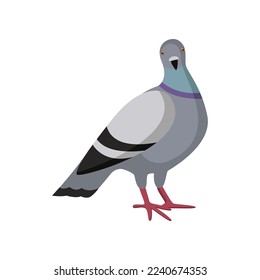 Cute colorful dove sitting and looking on white background. Pigeon cartoon illustration. Animal, flying creature, bird concept
