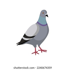 Cute colorful dove sitting on white background. Pigeon cartoon illustration. Animal, flying creature, bird concept