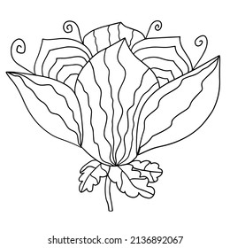 Cute colorful fantasy doodle cartoon flower isolated on white background.  