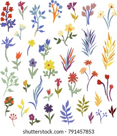 Cute colorful floral elements set for your design.