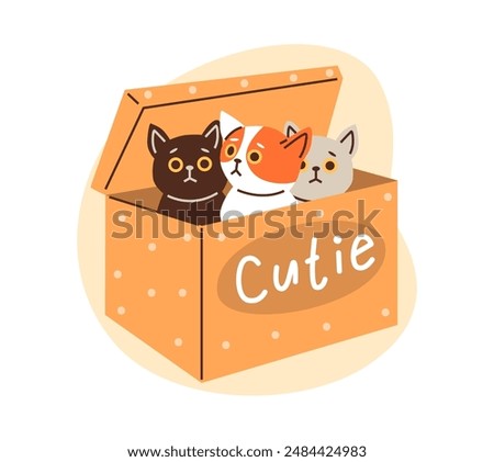 Cute colorful kittens playing and sitting inside in cardboard box vector flat illustration. Funny hiding pussycats looking out. Cartoon fluffy domestic feline animal in box package, cutie cats pet