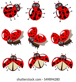 Cute colorful ladybugs clip art collection isolated on white background