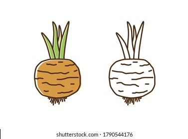 Cute colorful and monochrome turnip icon vector flat illustration. Natural organic radish with root and stem in line art style. Fresh vegetable or vegetarian healthy food isolated on white