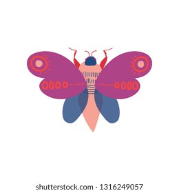 Cute Colorful Moth Insect, Top View Vector Illustration