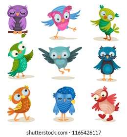 Cute colorful owlets set, sweet owl birds cartoon characters vector Illustrations on a white background