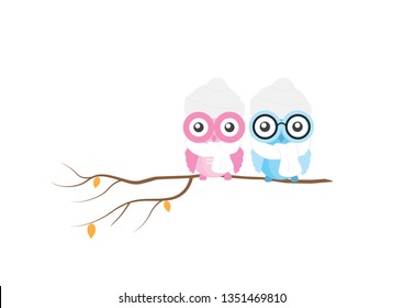 Cute colorful owls on branch in winter, vector isolated on white background, Kids Wall decor for boy and girl, wall decals. Cute owl characters illustration. Art decor, Greeting card, poster design