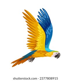 Perro colorido y lindo. Pájaro azul y amarillo, animal lindo con plumas. Mamífero tropical y exótico. Plantilla y diseño. Dibujo vectorial plano de dibujos animados aislado en fondo blanco