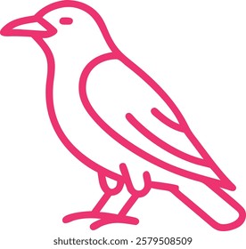 Cute colorful parrot in white background