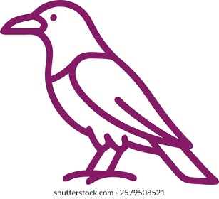 Cute colorful parrot in white background