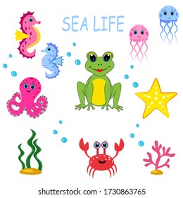 Cute colorful sea animals set . Marine life. Sea life, ocean wildlife . 