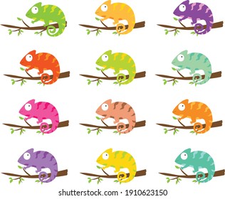 Conjunto de colores finos del vector Chameleon
