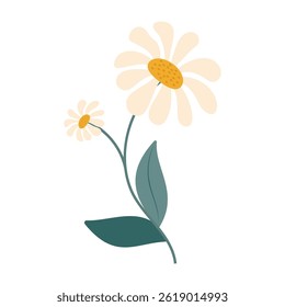 Cute and colorful simple flowers with green leaves on a white background. Spring and Summer Season