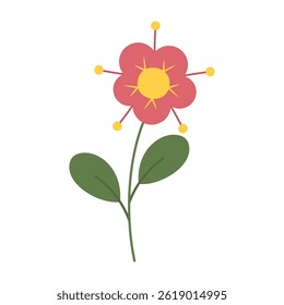 Cute and colorful simple flowers with green leaves on a white background. Spring and Summer Season